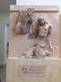 Delphes20130725_0117
