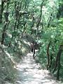 Meteores20130727_0212